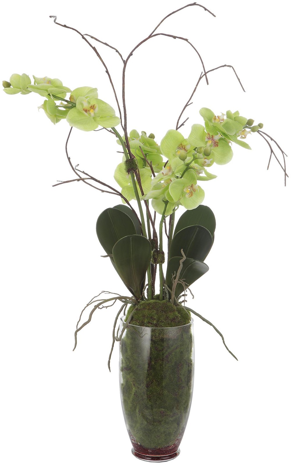 Uttermost 60199 Valdive 38″ Tall Glass Faux Flora Planter – Clear