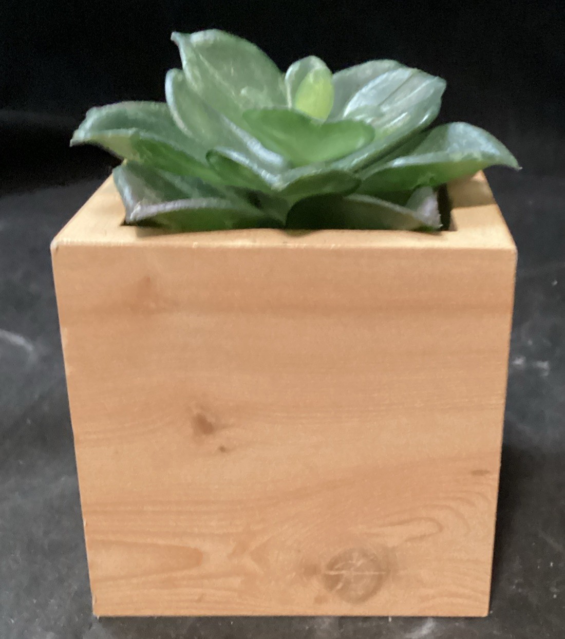 Decorative Fake Potted Succulents. New and Gently Used lot of 10 (F2)