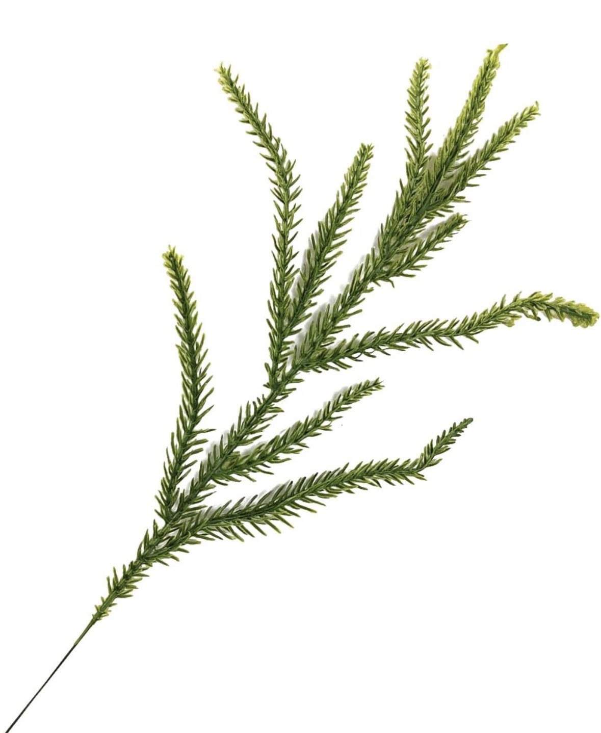 52 Pcs Realistic Christmas Norfolk Pine Branches Natural Droopy Soft Bendable