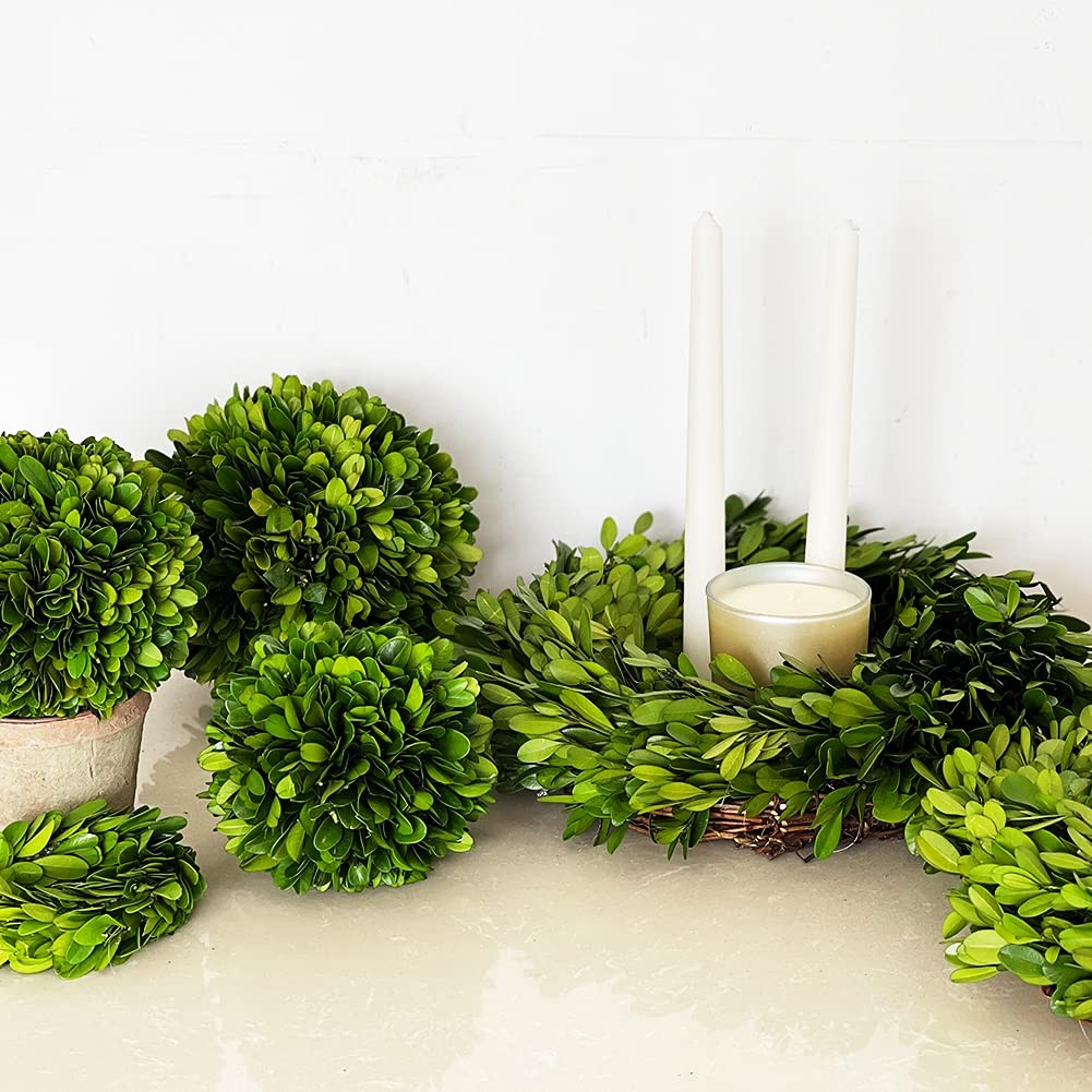 Boxwood Topiary Ball 5 inches Preserved Boxwood Decorative Balls for Wedding,…