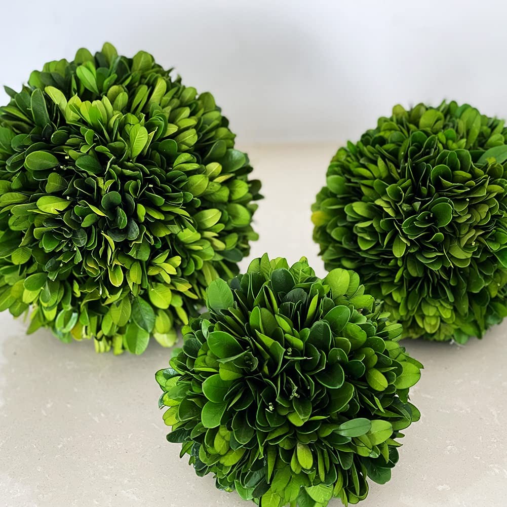 Boxwood Topiary Ball 5 inches Preserved Boxwood Decorative Balls for Wedding,…