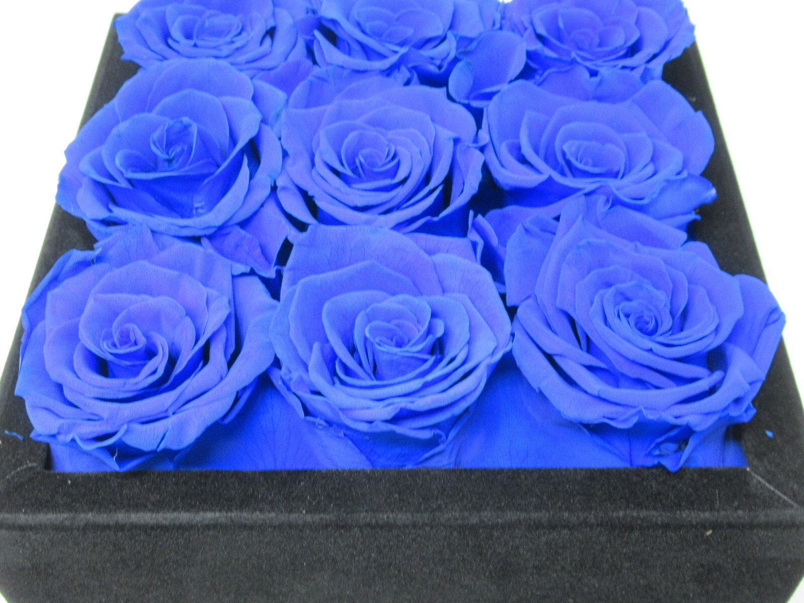 9 Roses FOREVER NEW YORK Preserved Satin Rose Spiral Black Velvet Box ROYAL BLUE