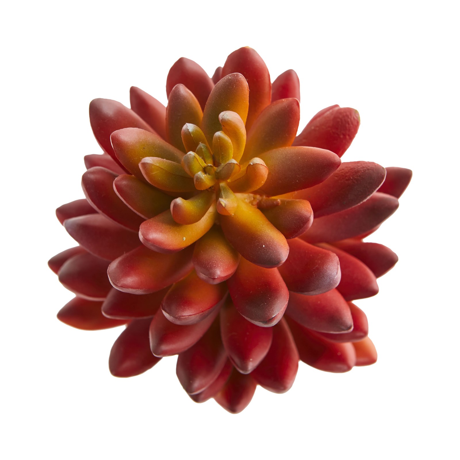 Nearly Natural 7.5″ Succulent Artificial Plant (Set of 6) in Orange