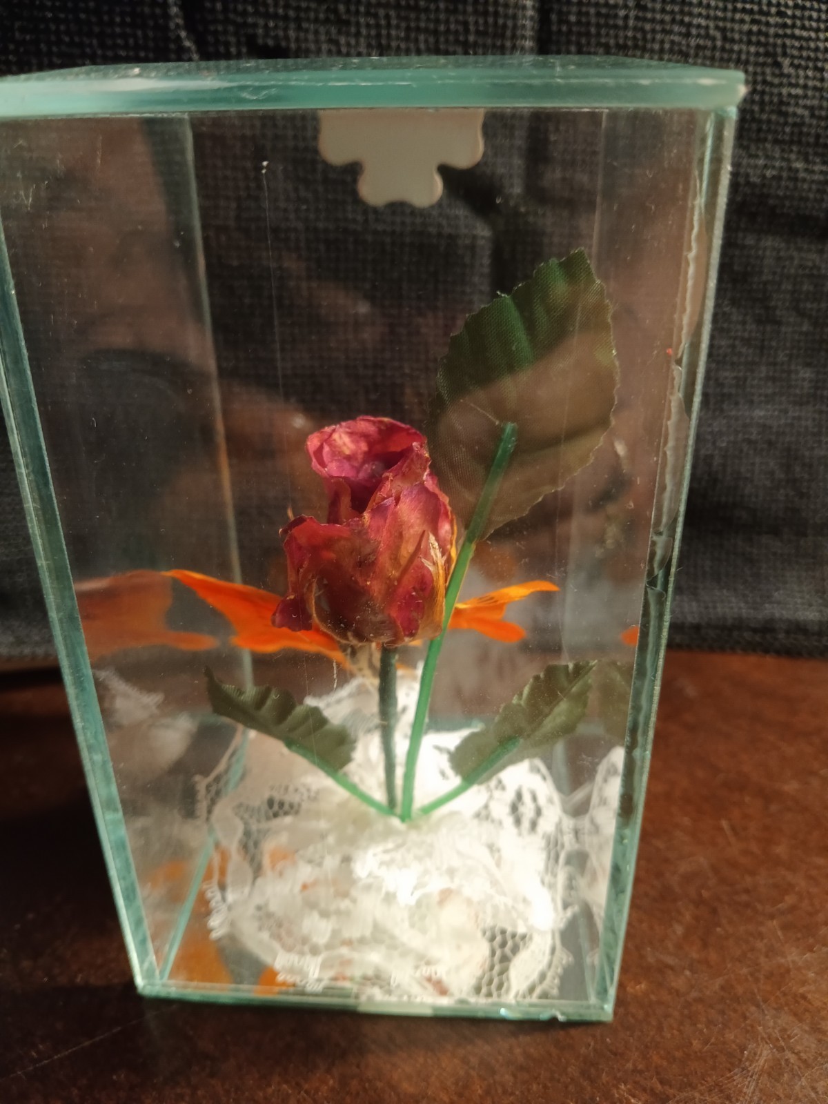 Lifesake Flowers Preserved Real Rose Glass Display ( No Base ) FREE SHIPPING