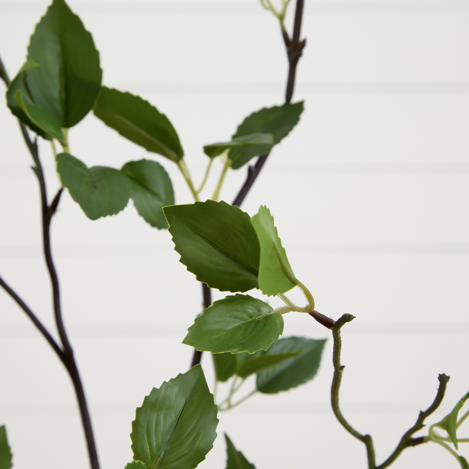 4′ Artificial Citrus Minimalist Tree Home Decor. Retail $129