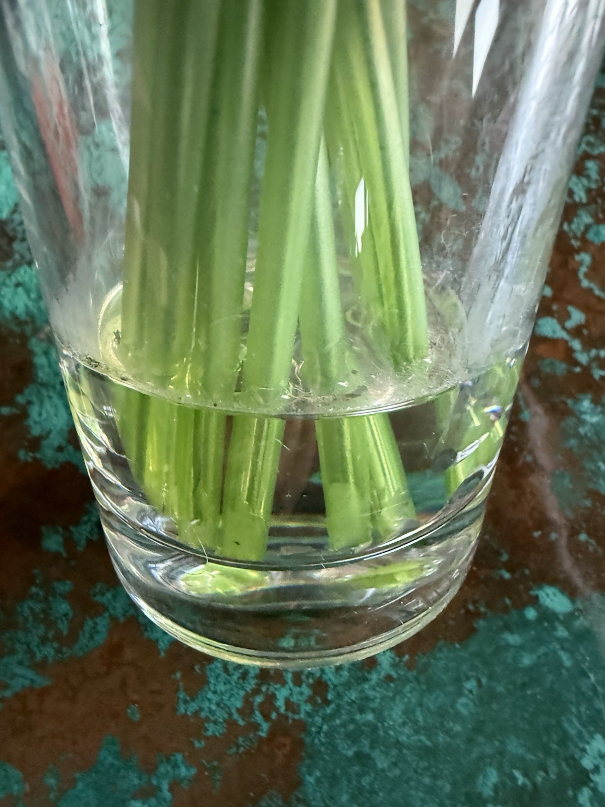 11” Vibrant Artificial 13-piece real look and feel Tulip Arrangement