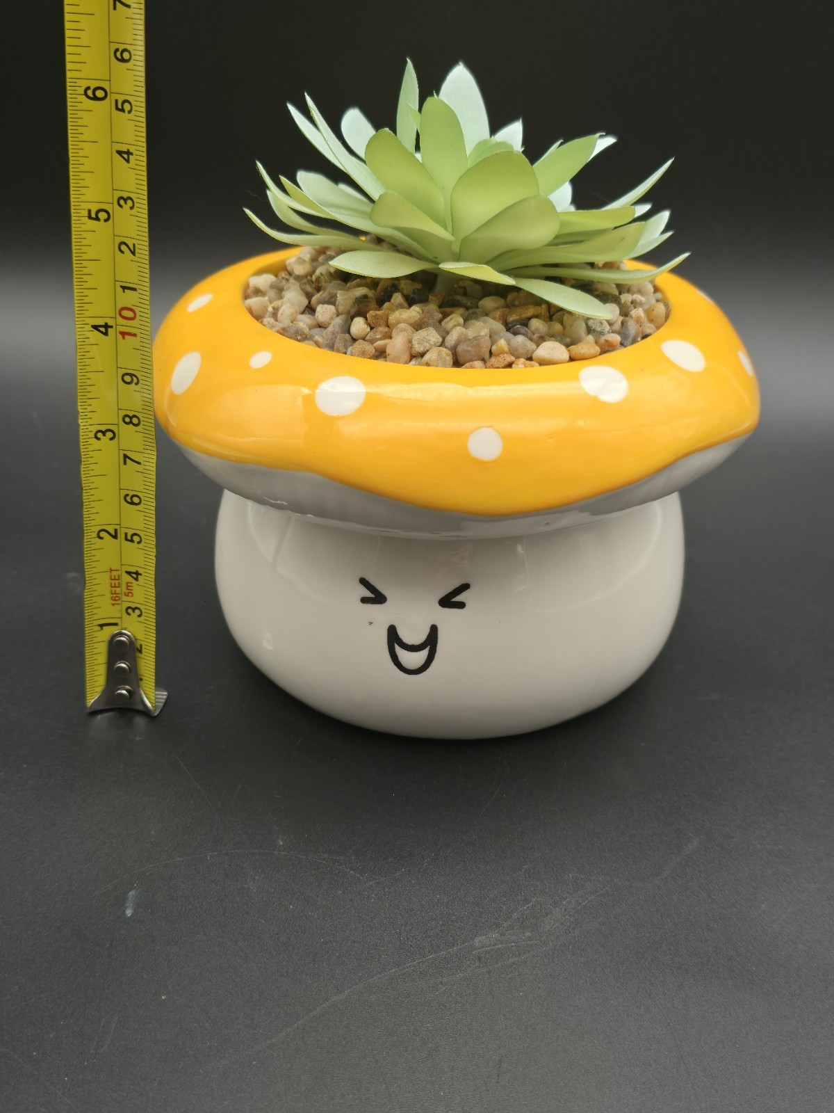 Succulent In Mushroom Pot With Face, Coffee Table Decoration