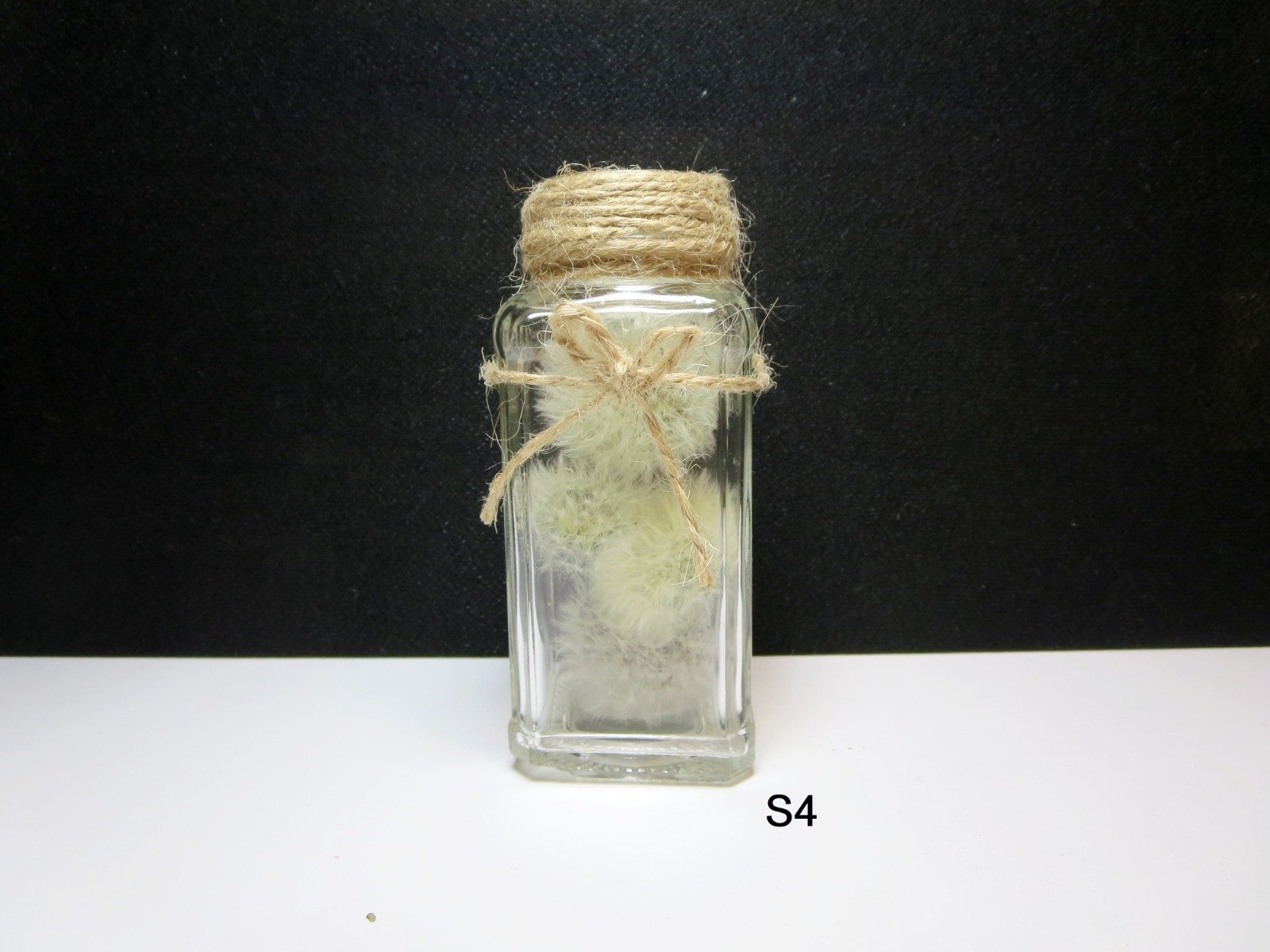 Dried Dandelion Art Dandelion Flower For Craft Dried Flowers decor Dandelions