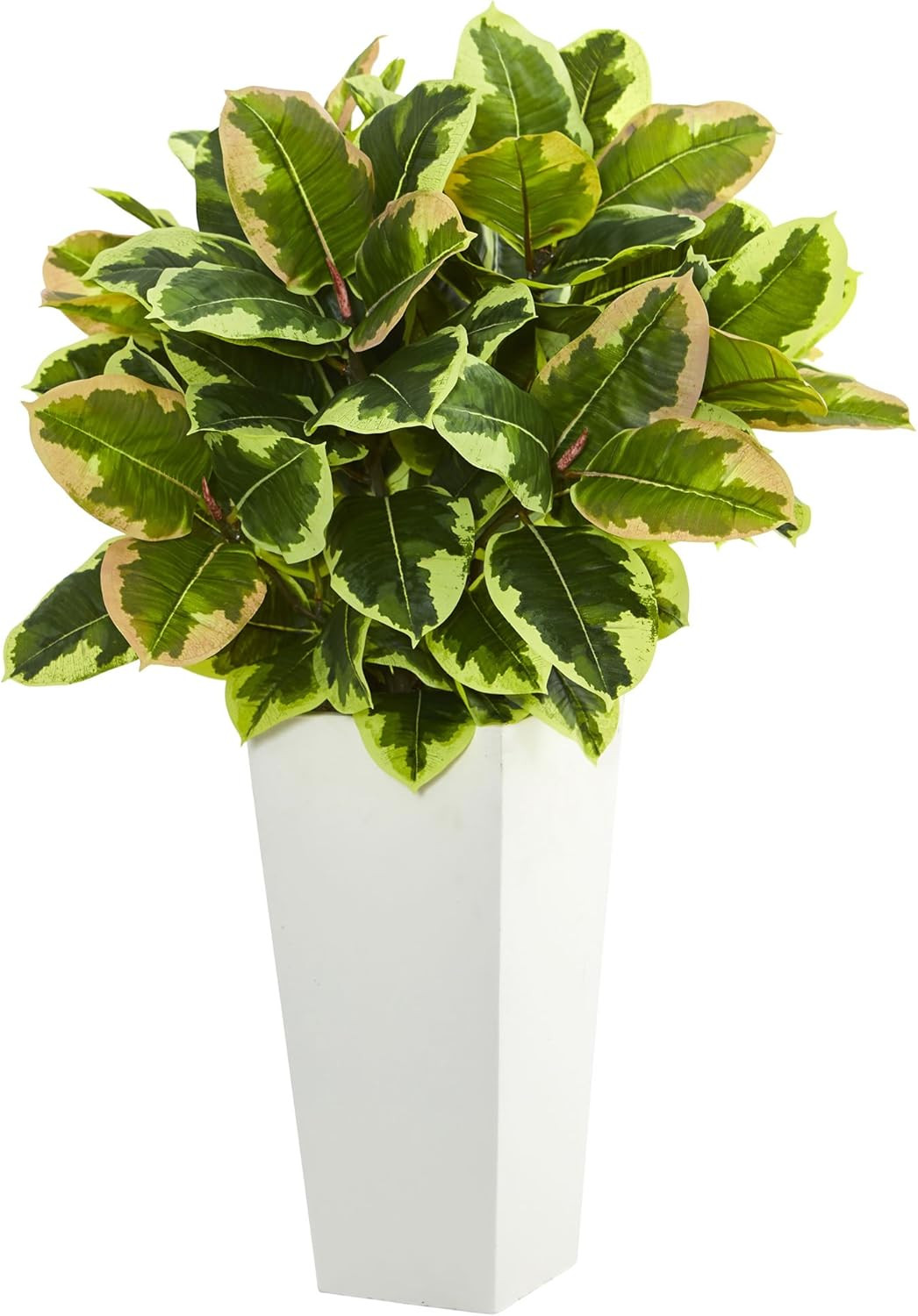 Real Touch Variegated Rubber Plant in White Tower Planter –