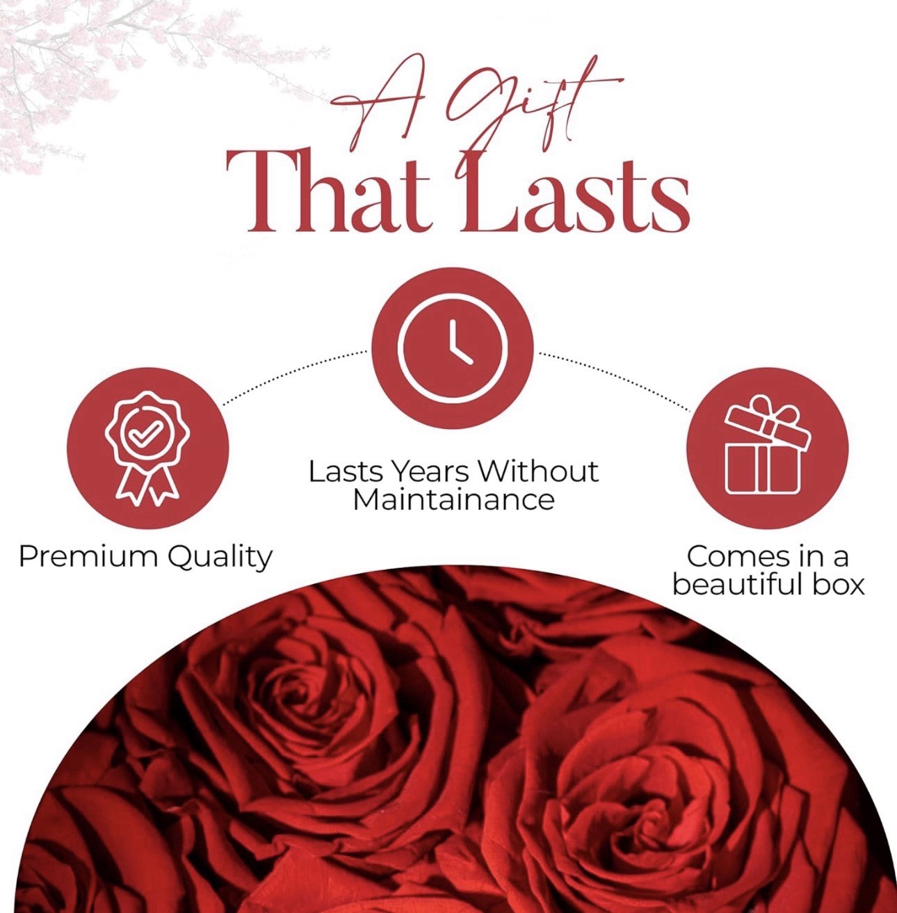 AROMEO Red Roses A Gift That Lasts Preserved Fresh Flowers