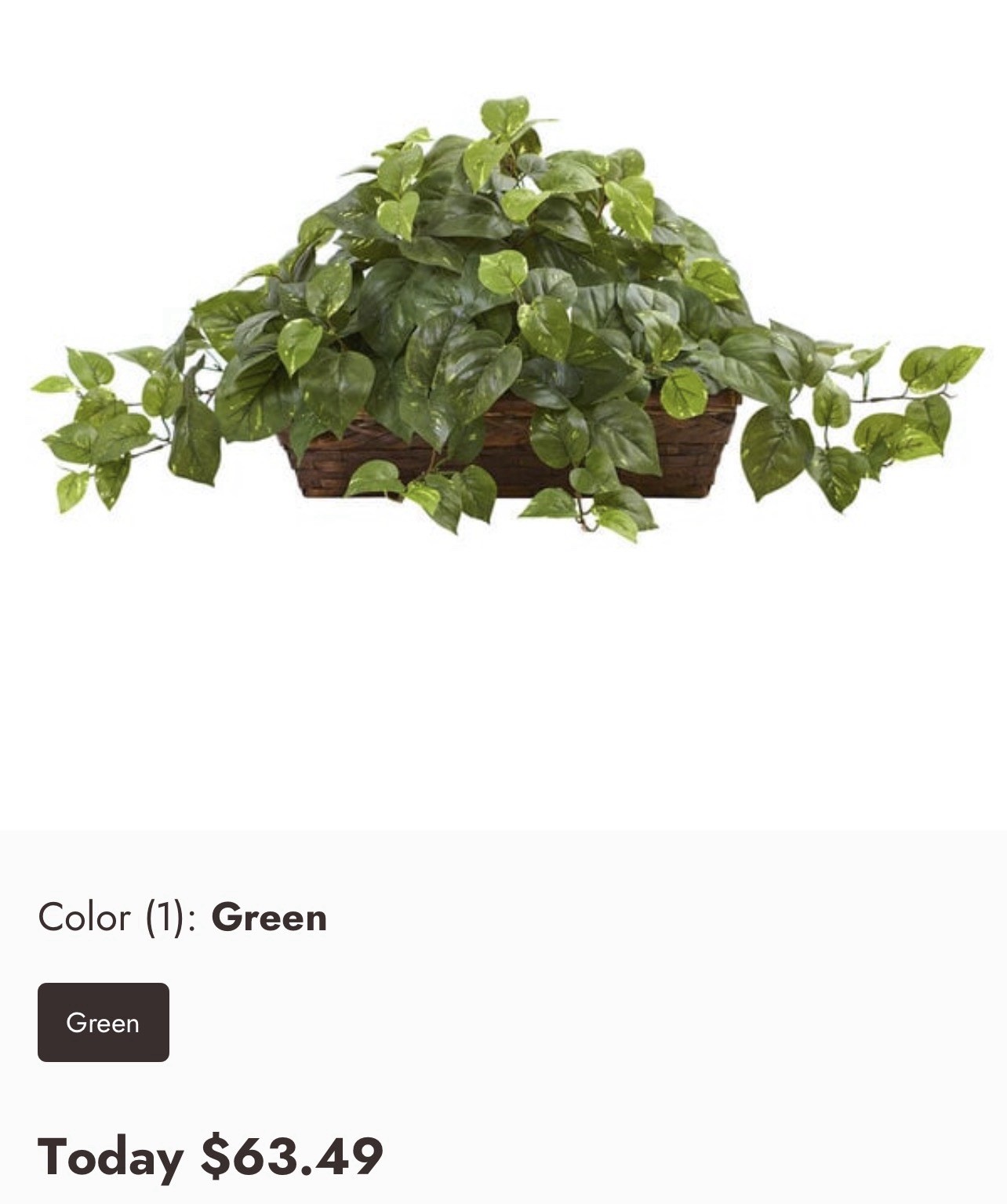 Artificial Ledge Plant In Basket, Home Decor