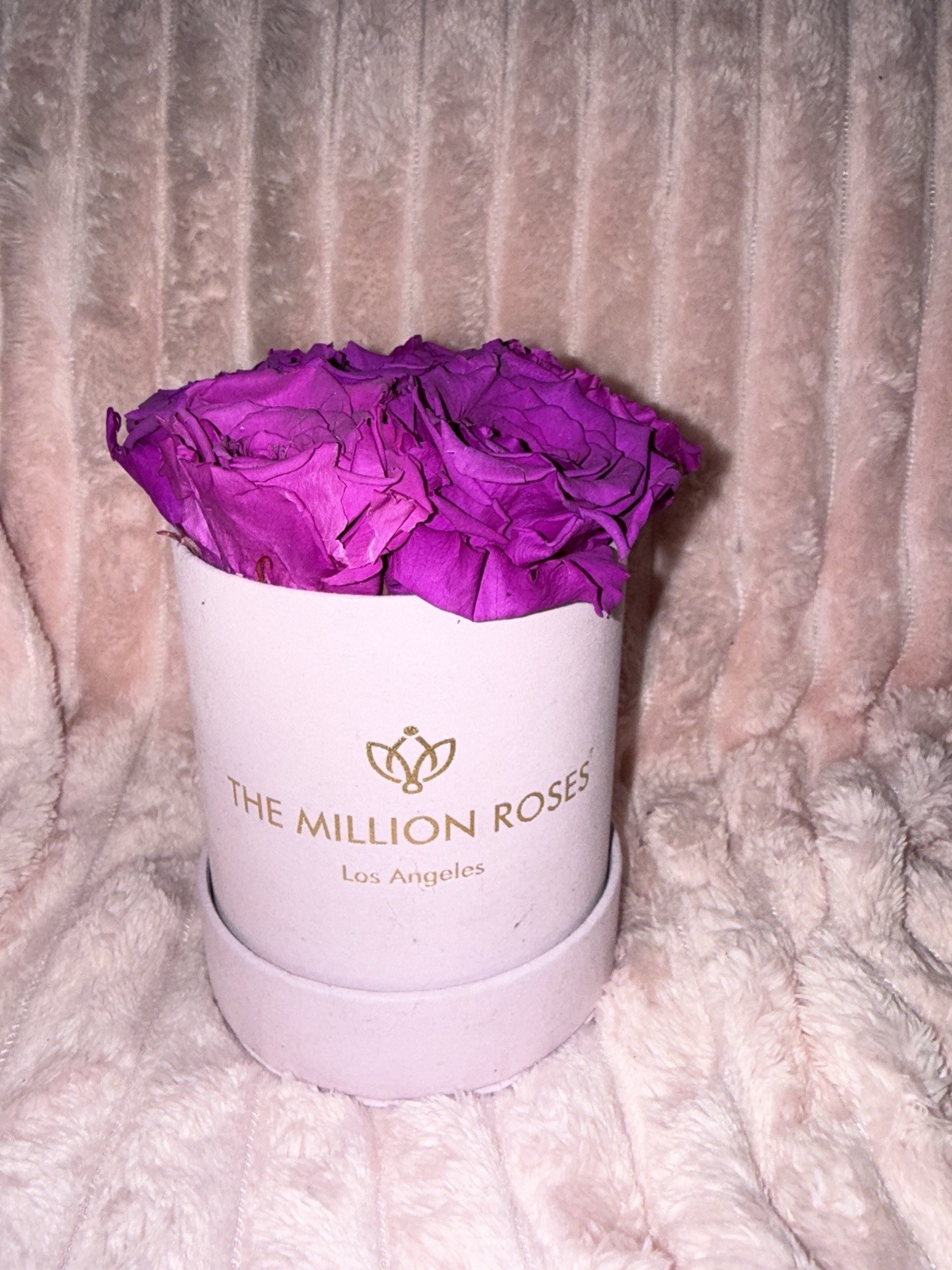 The Million Roses Purple Preserved Rose Flower Box Arrangement & Centerpiece