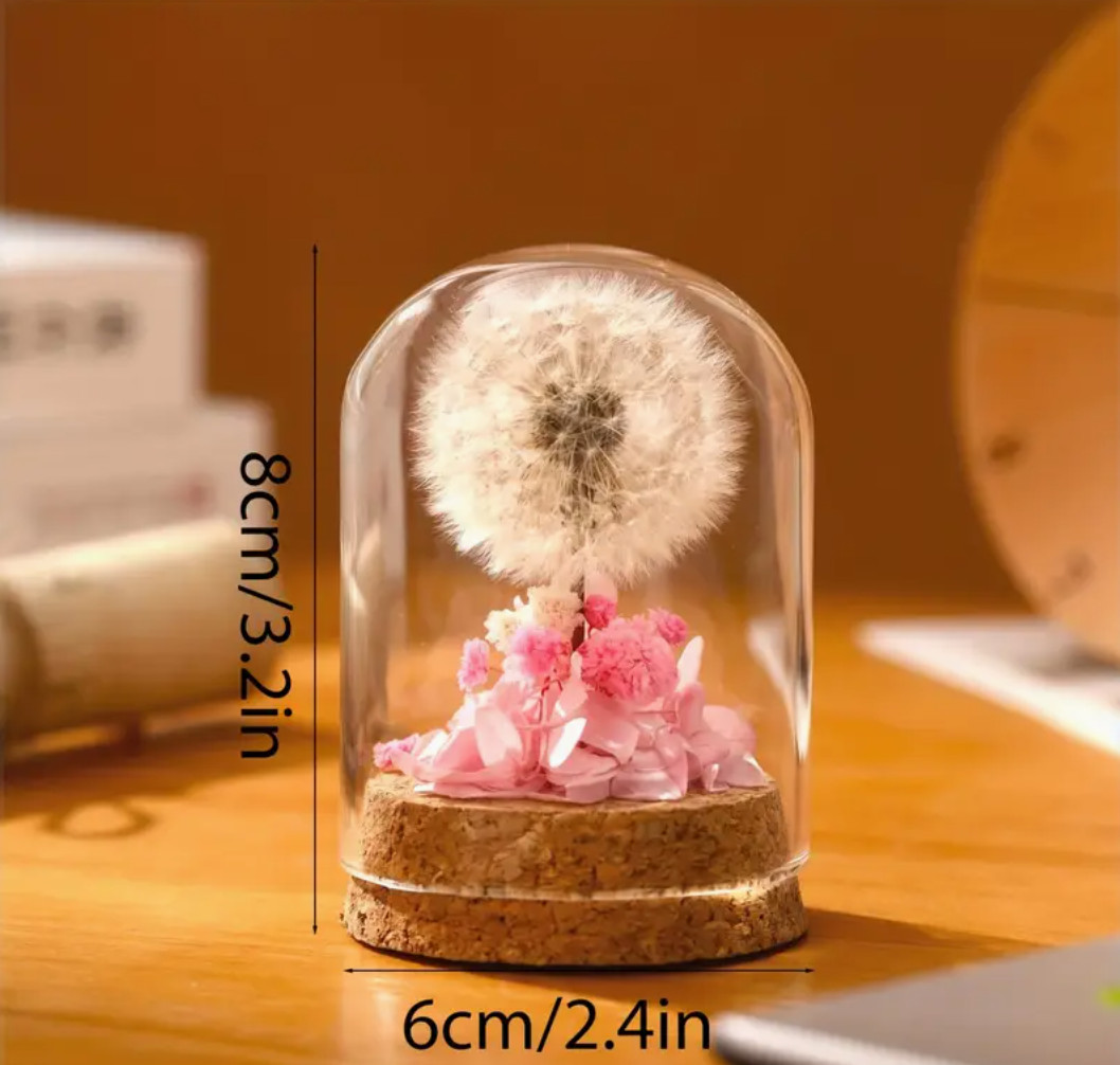 🌼 Eternal Dandelion Wish | Giant Preserved Natural Bloom✨🌿 Mother’s Day
