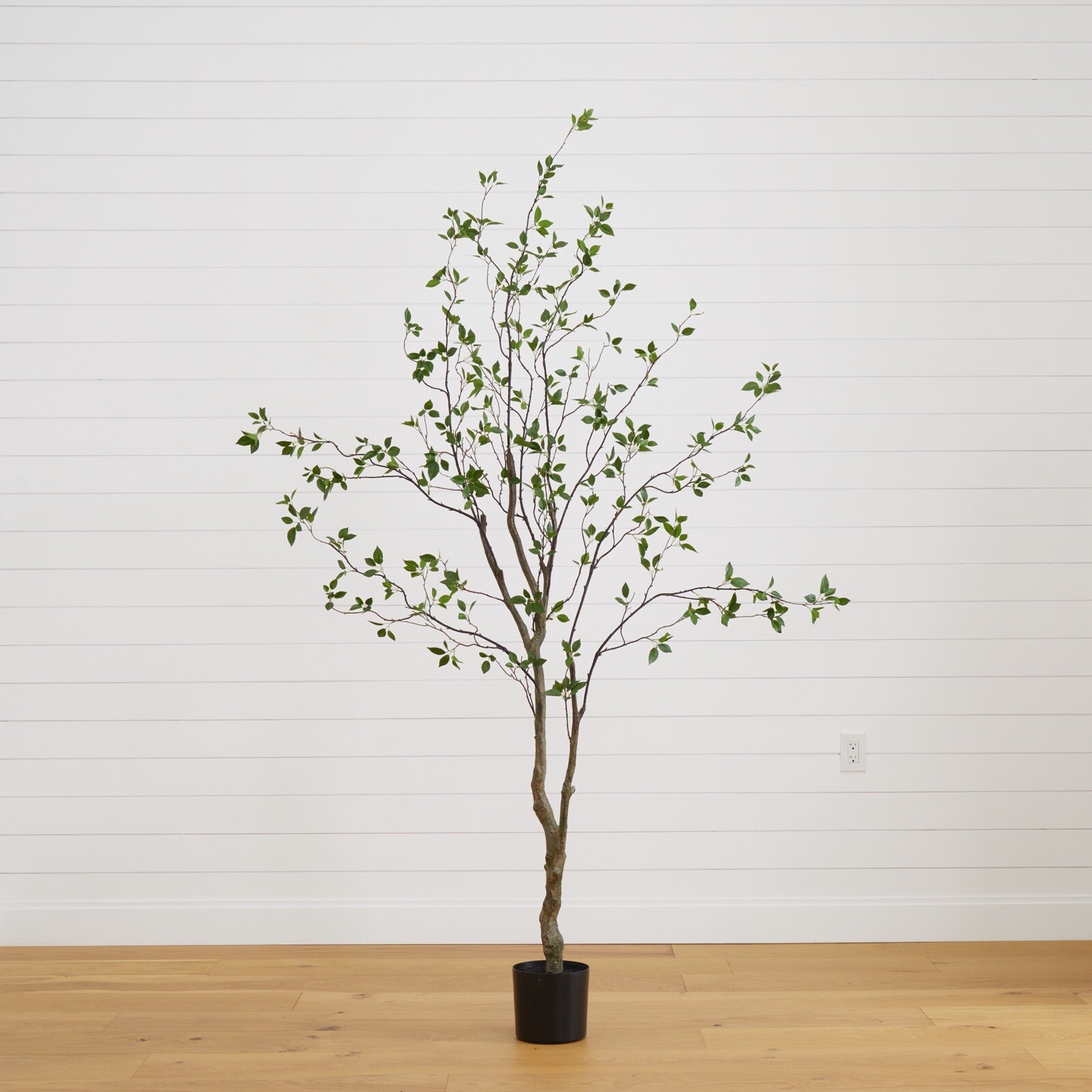 8’ Artificial Citrus Minimalist Tree Home Decor. Retail $259