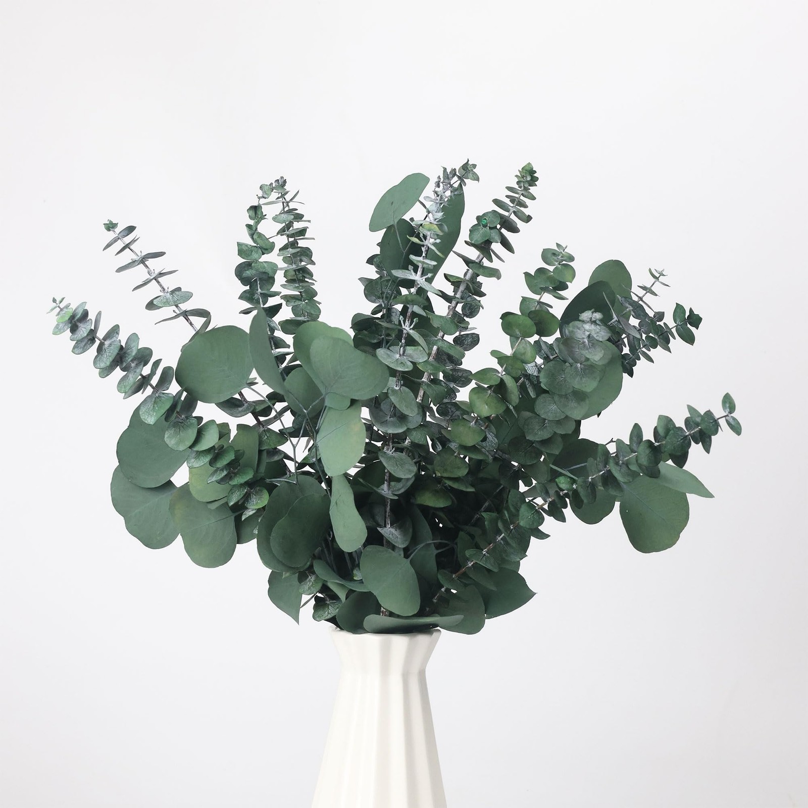 25 Pcs Preserved Dried Eucalyptus Stems & Silver Dollar Leaves Bundle, Natura…