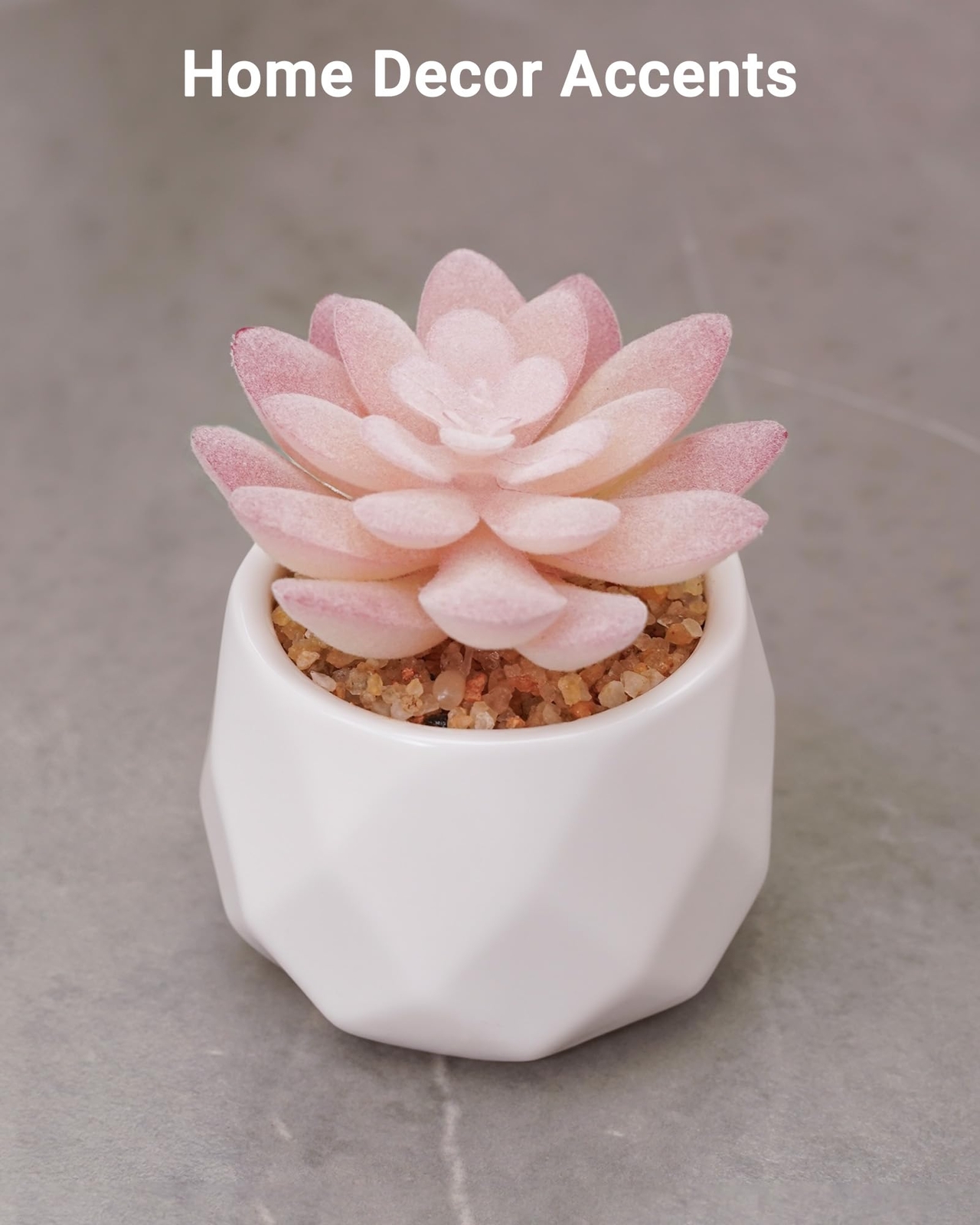 Rose Pink Mini Succulent White Ceramic Pot Christmas Gift Women Mom Decor
