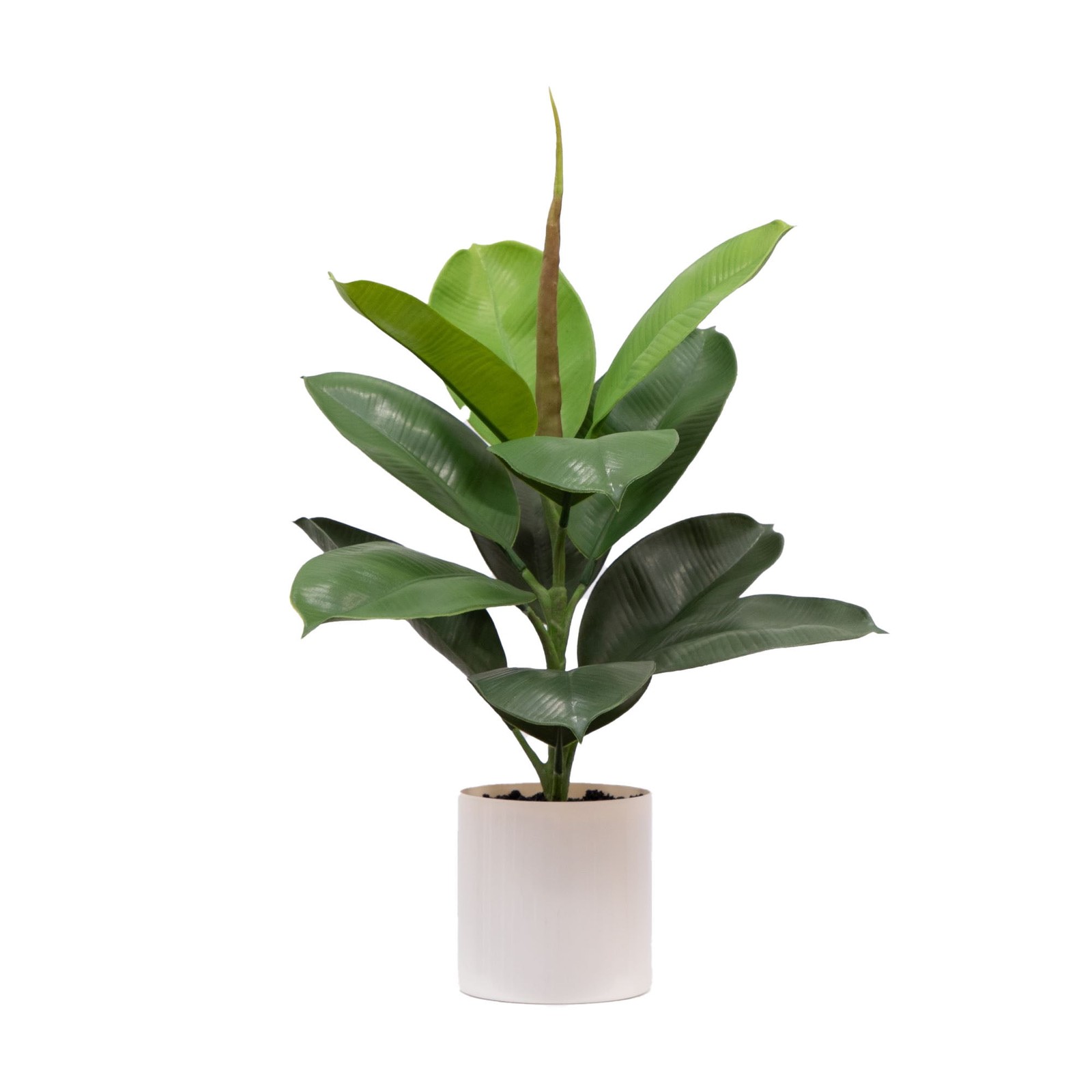 20″H Artificial Indoor Fiddle Leaf Fig Plant in Plastic Vanilla Planter
