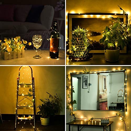 10 Ft LED Firefly String Lights Battery