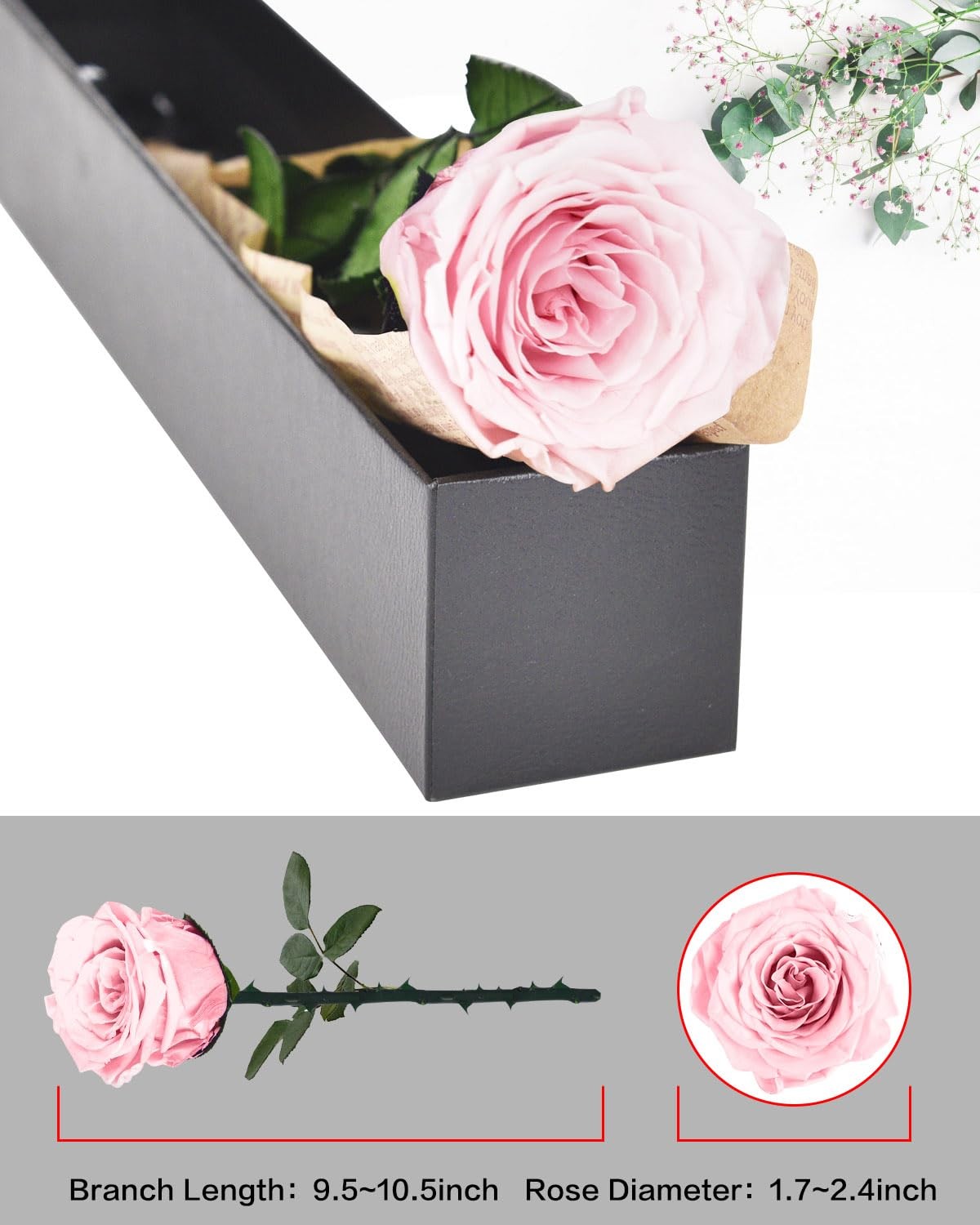 1 PCS Light Pink Single Preserved Forever Rose Flowers Gifts Anniversary