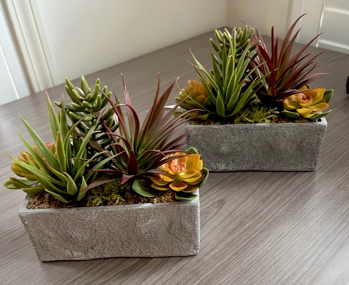 Set Of 2 Faux / Artificial Succulent Garden With Concrete Planter 3”x 7”x3”