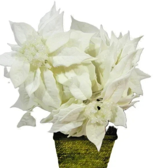 7 CHRISTMAS WEDDING White Velvet POINSETTA Stems 20in