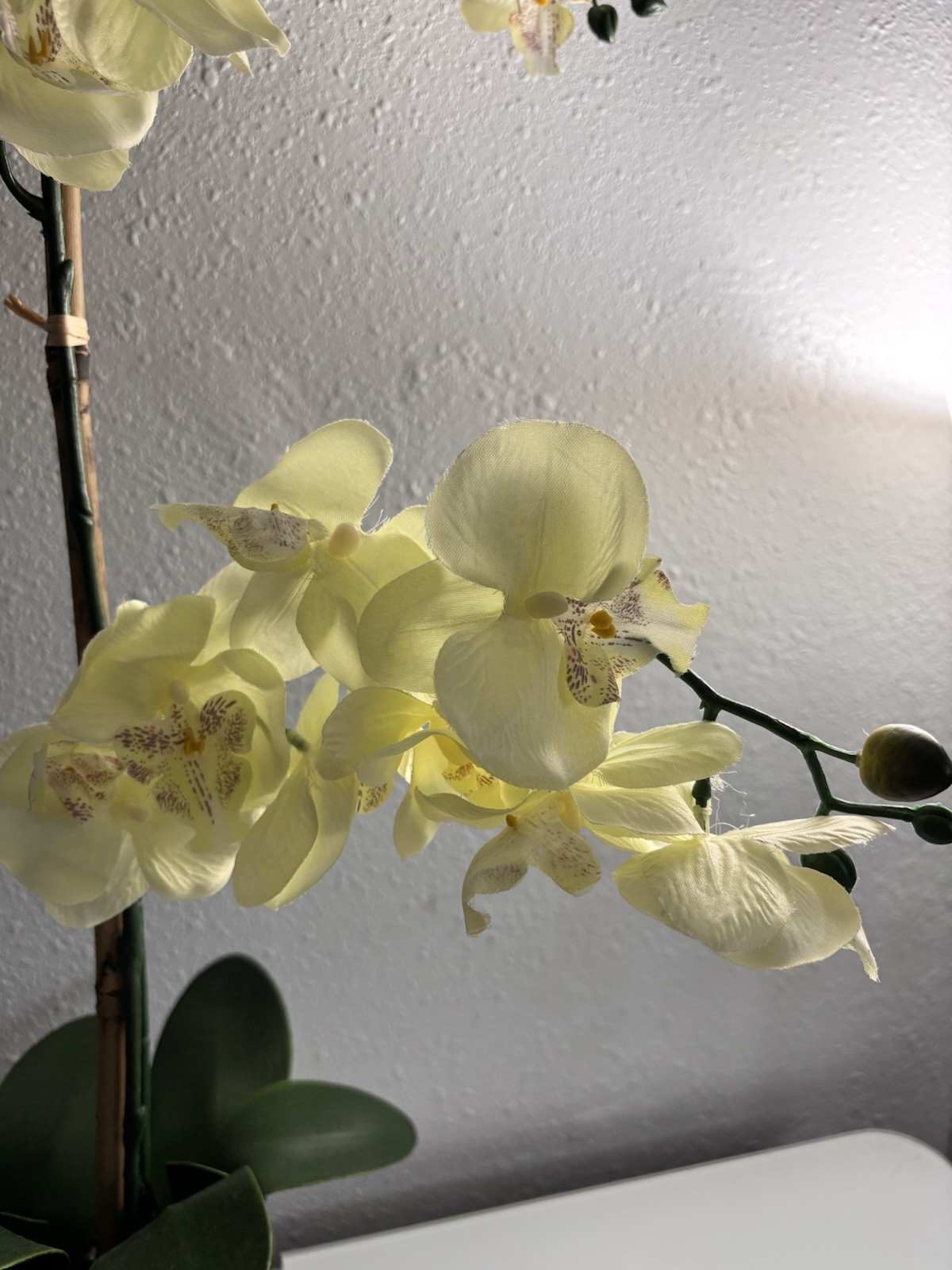 Artificial Yellow Orchid Silver Ceramic Pot Faux Phalaenopsis Floral 19”