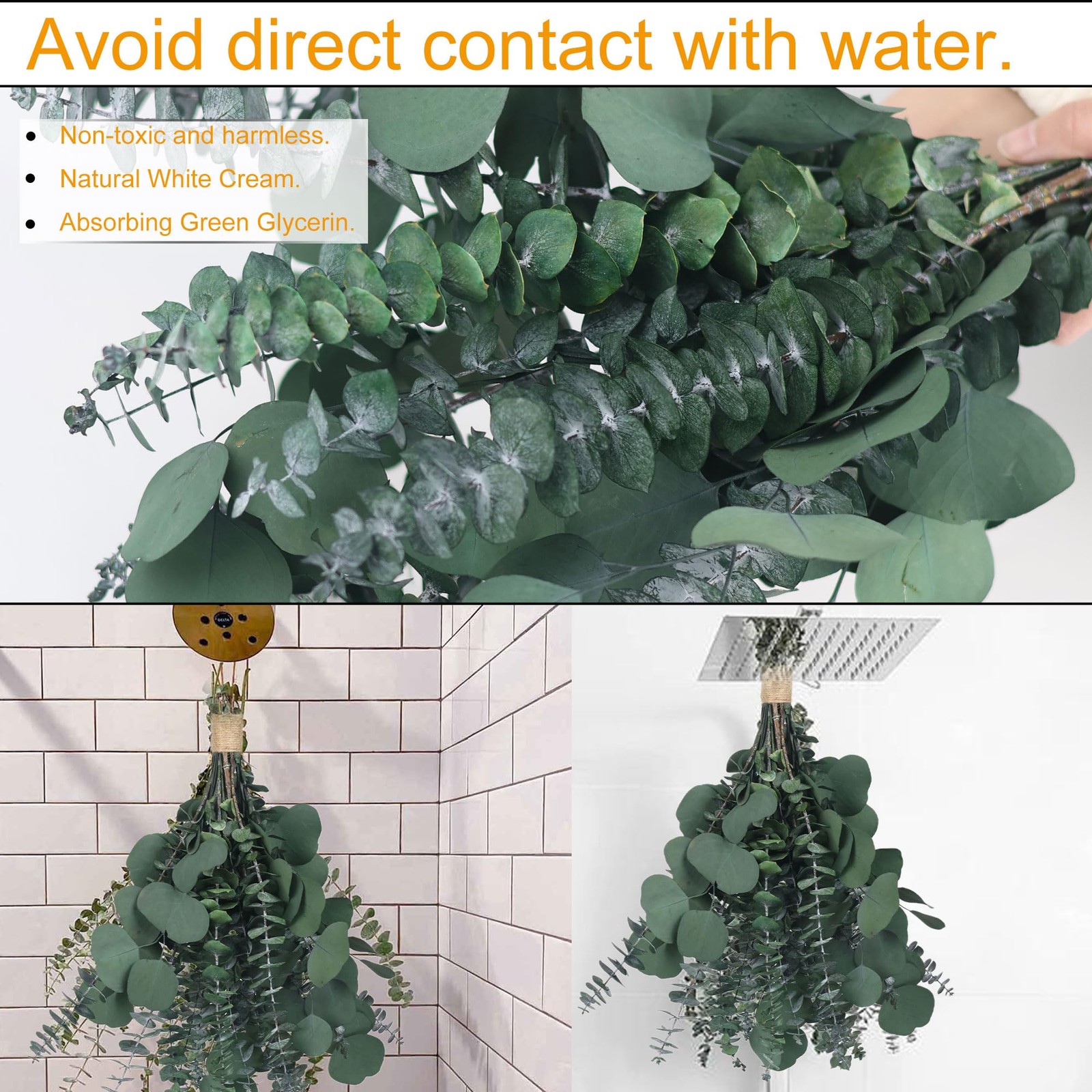 25 Pcs Preserved Dried Eucalyptus Stems & Silver Dollar Leaves Bundle, Natura…