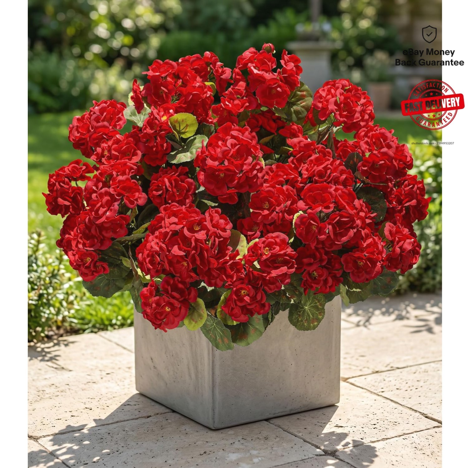 6 Bundles of Waterproof Red Geraniums – Perfect for All Seasons