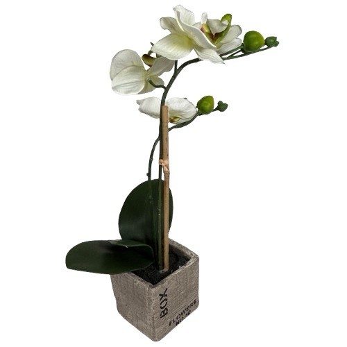 Potted Orchid Plant Faux Phalaenopsis Flowers Realistic Home Decor in Stone Pot