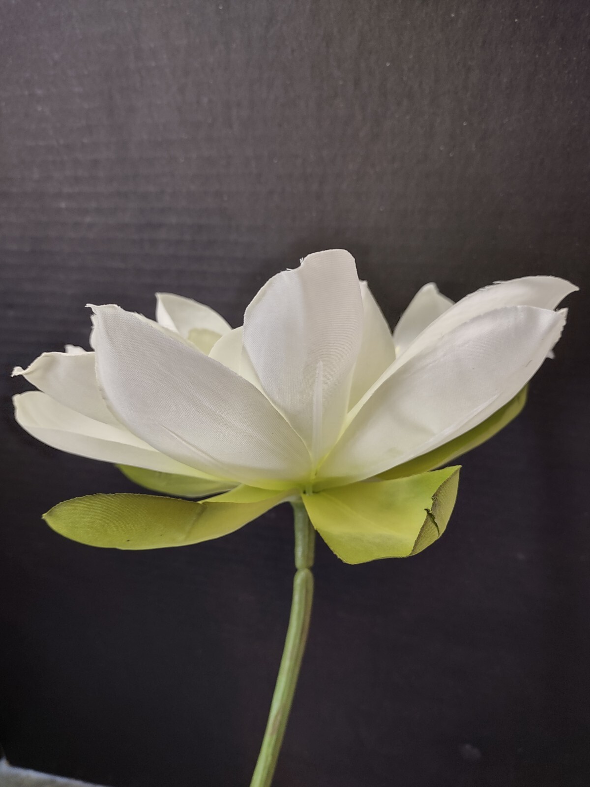 Artificial White Natural Feel large lotus blossom stems