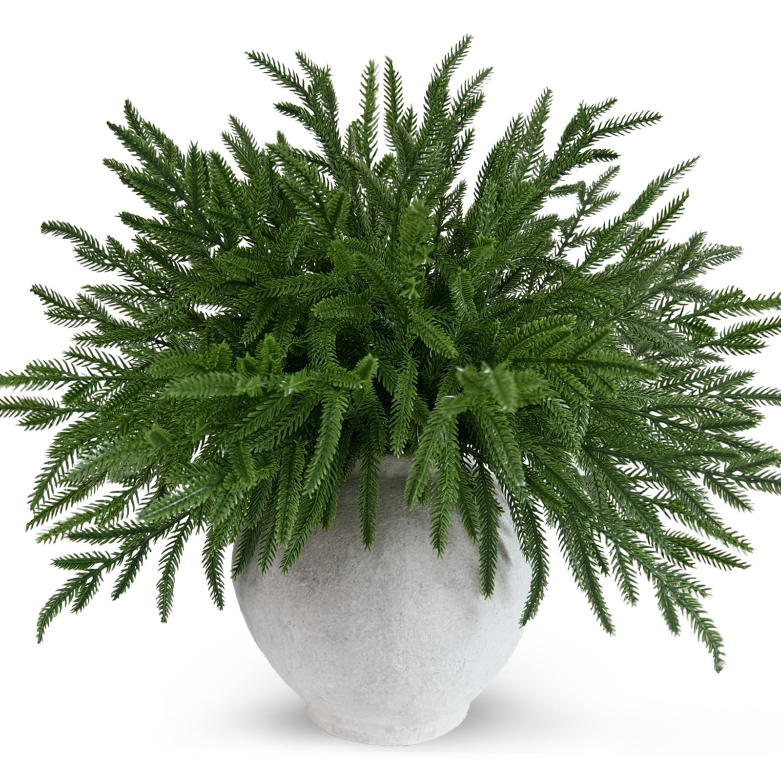 24 Pcs Real Touch Norfolk Pine Branches Christmas Decorations, 18 Inch Norfolk