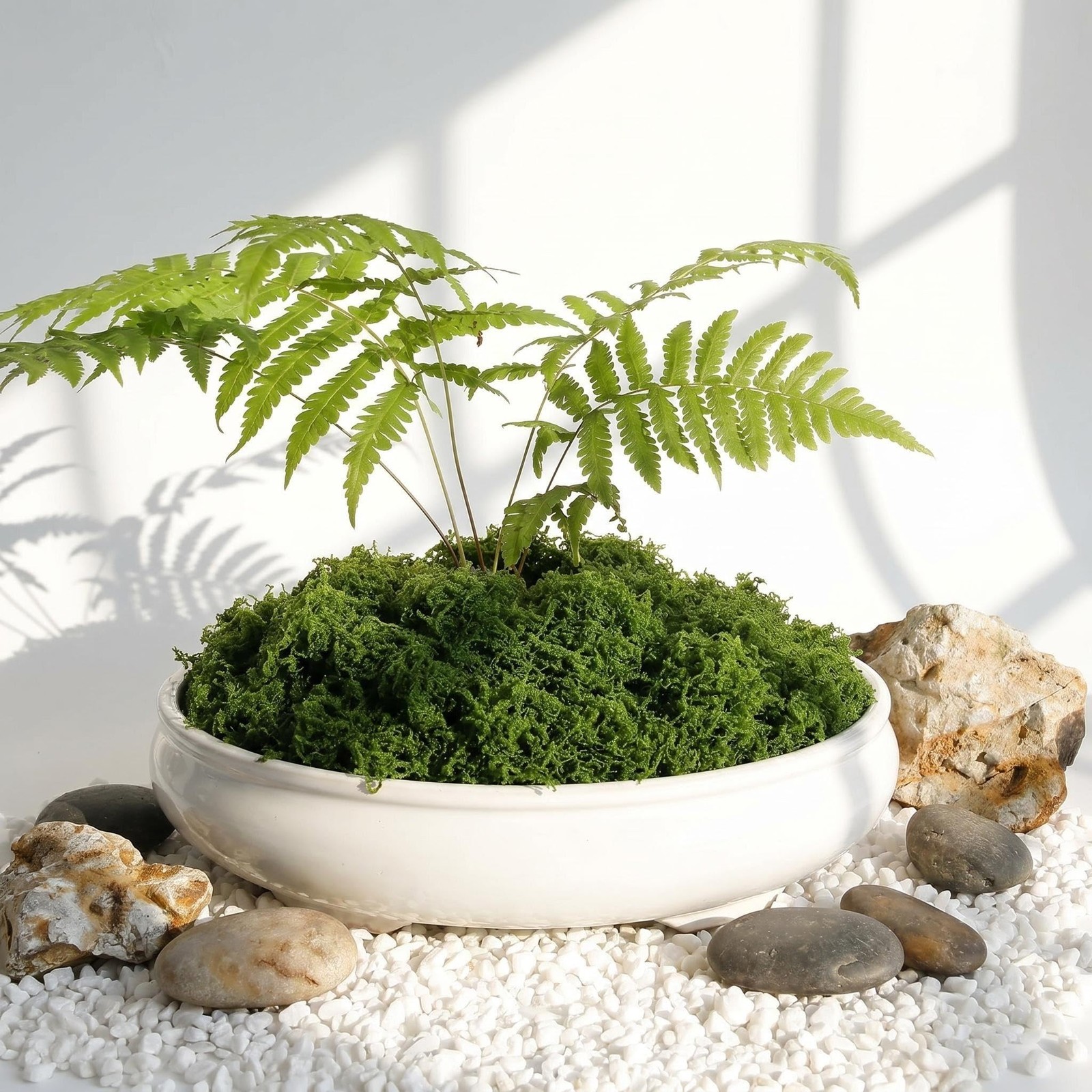 Artificial Moss Potted Plants Indoor Fake Green Faux Craft Terrarium 7oz
