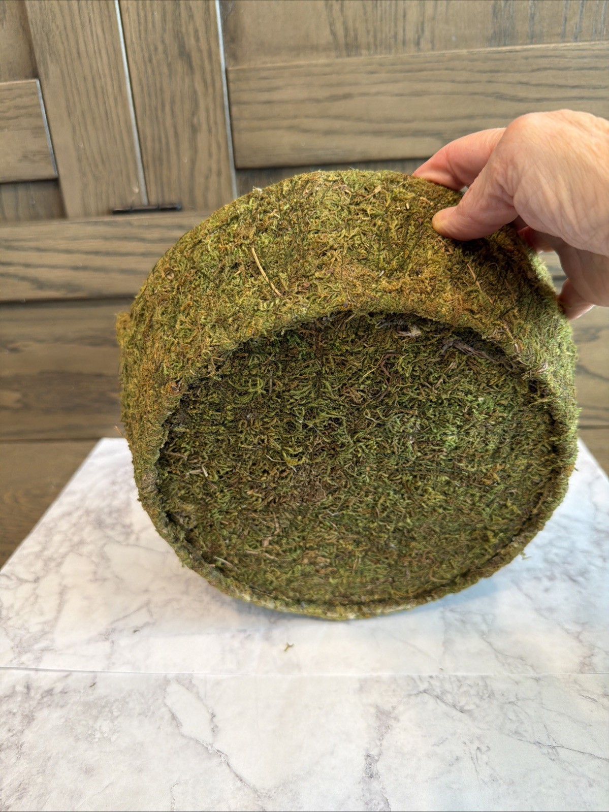 Rustic Moss Basket Planter w/ Handles + Moss Ball Vase Filler