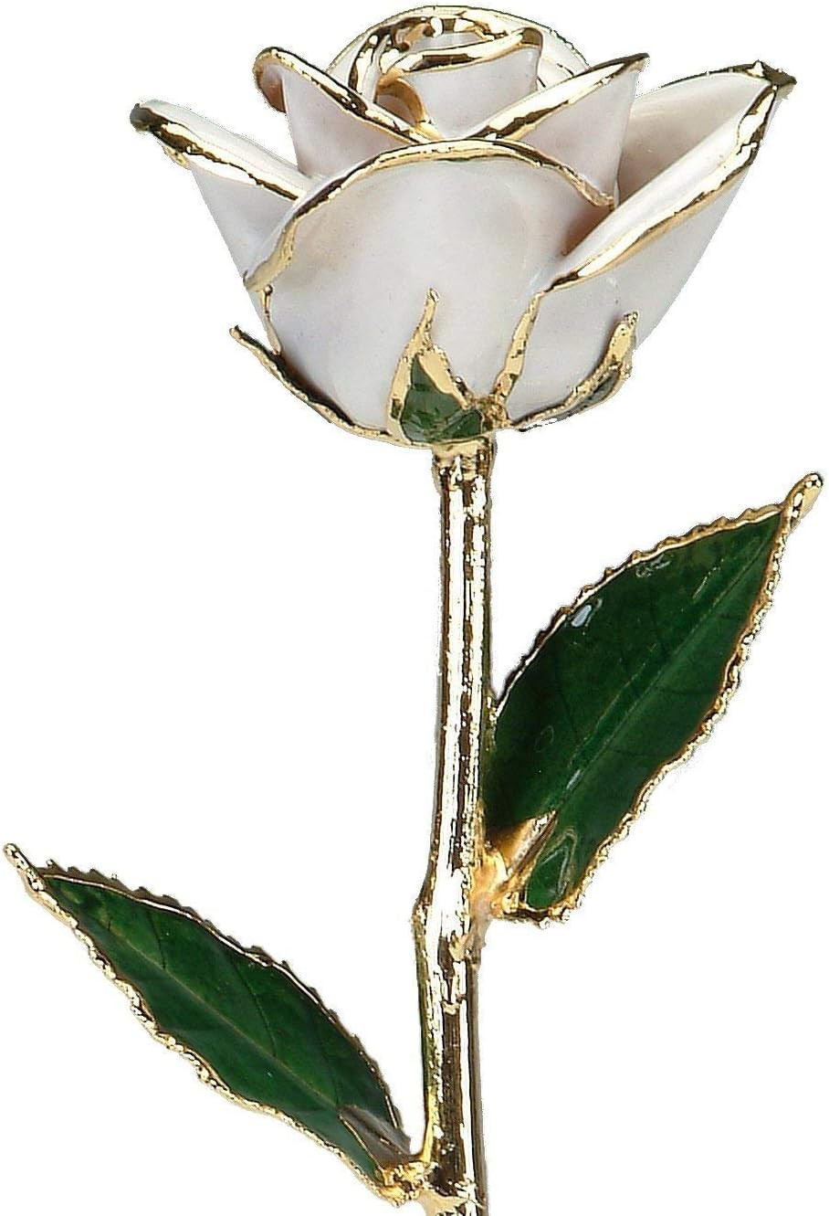 24K Gold Dipped Long Stem Rose – Elegant Snow White Gift for Any Occasion