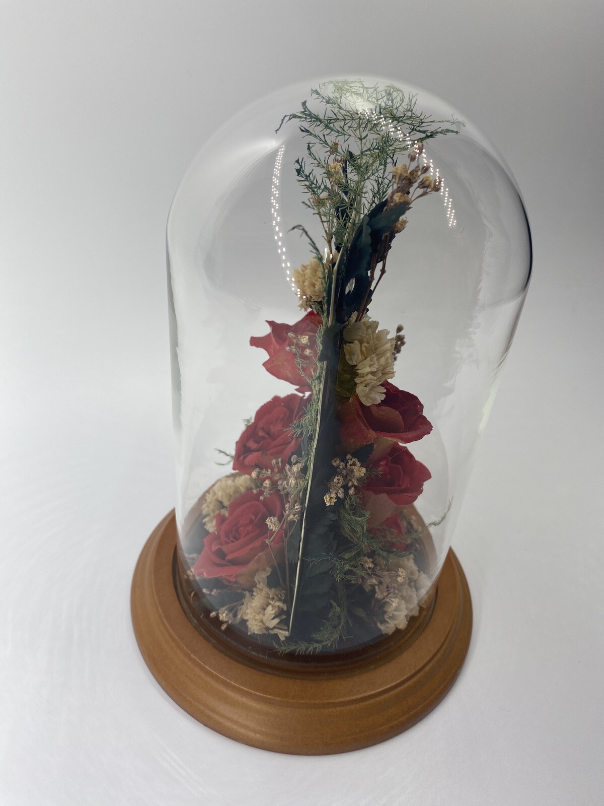 Vintage Dried Red Roses Flower Arrangement Preserved in 7.5” Glass Dome
