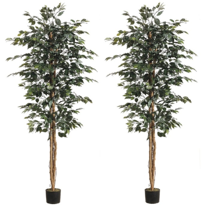 6.5′ Artificial Ficus Tree In Pot Silk Plant Decor Palm (Pack of 2)