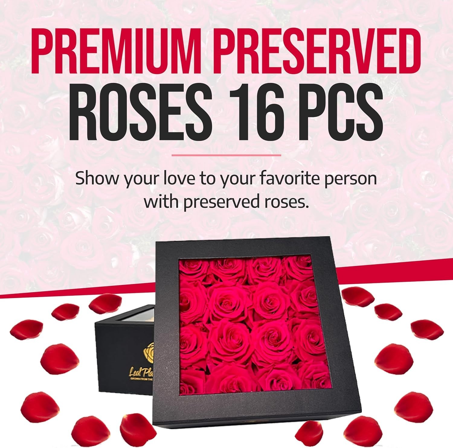 Premium Real Preserved Roses 16 PCS 100% Real Red Roses Lasting Up to 3 Years