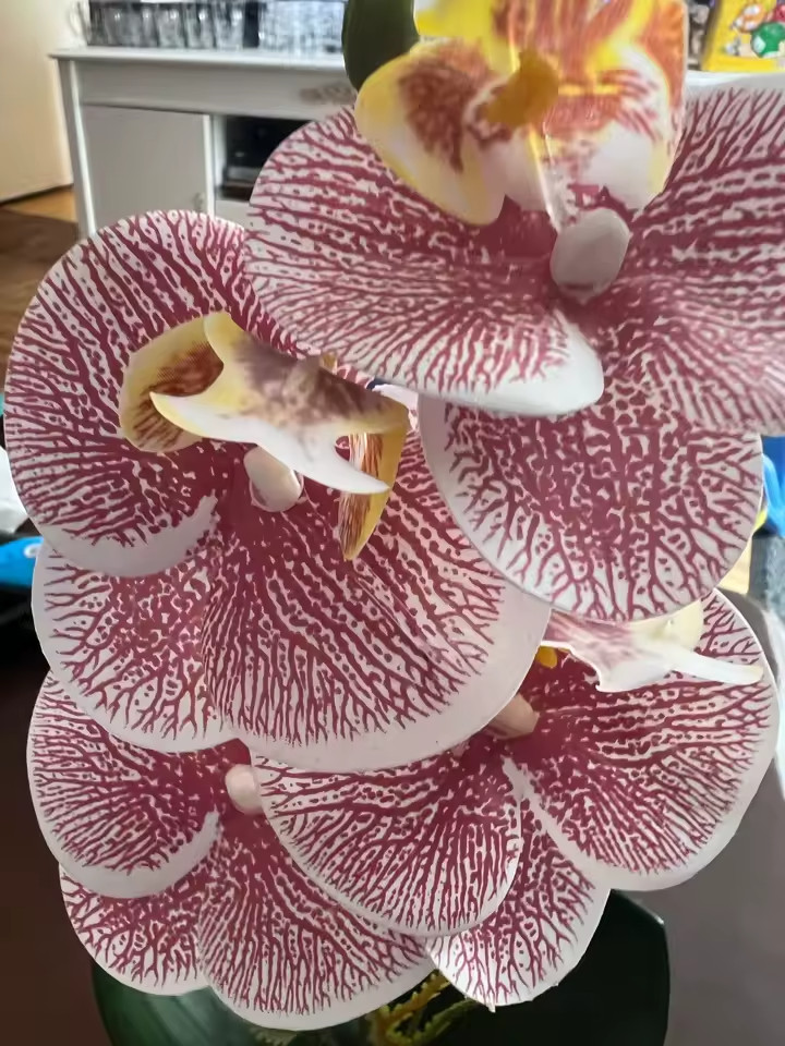 Purple Striped Artificial Orchid Potted Plant Fake Flower Table Decor