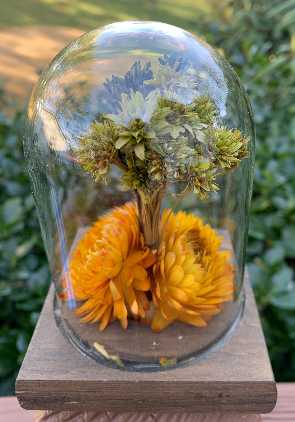 VTG Leonard Creations California Dried Flower Glass Dome on Wood Base w/ Sticker