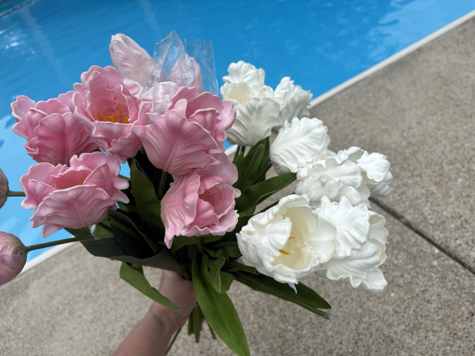 30pc Real Touch Tulips Artificial Flowers Raz Imports & Mikasa Latex Parrot 18”