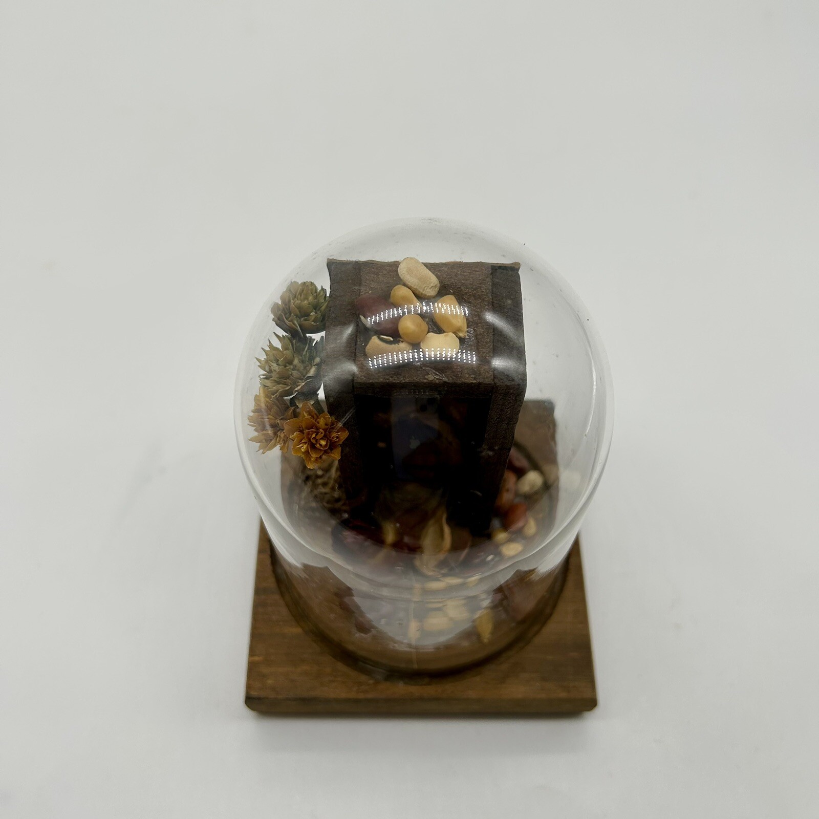 Vintage Leonard Creations California Glass Dome Cloche Dried Flowers Shadow box