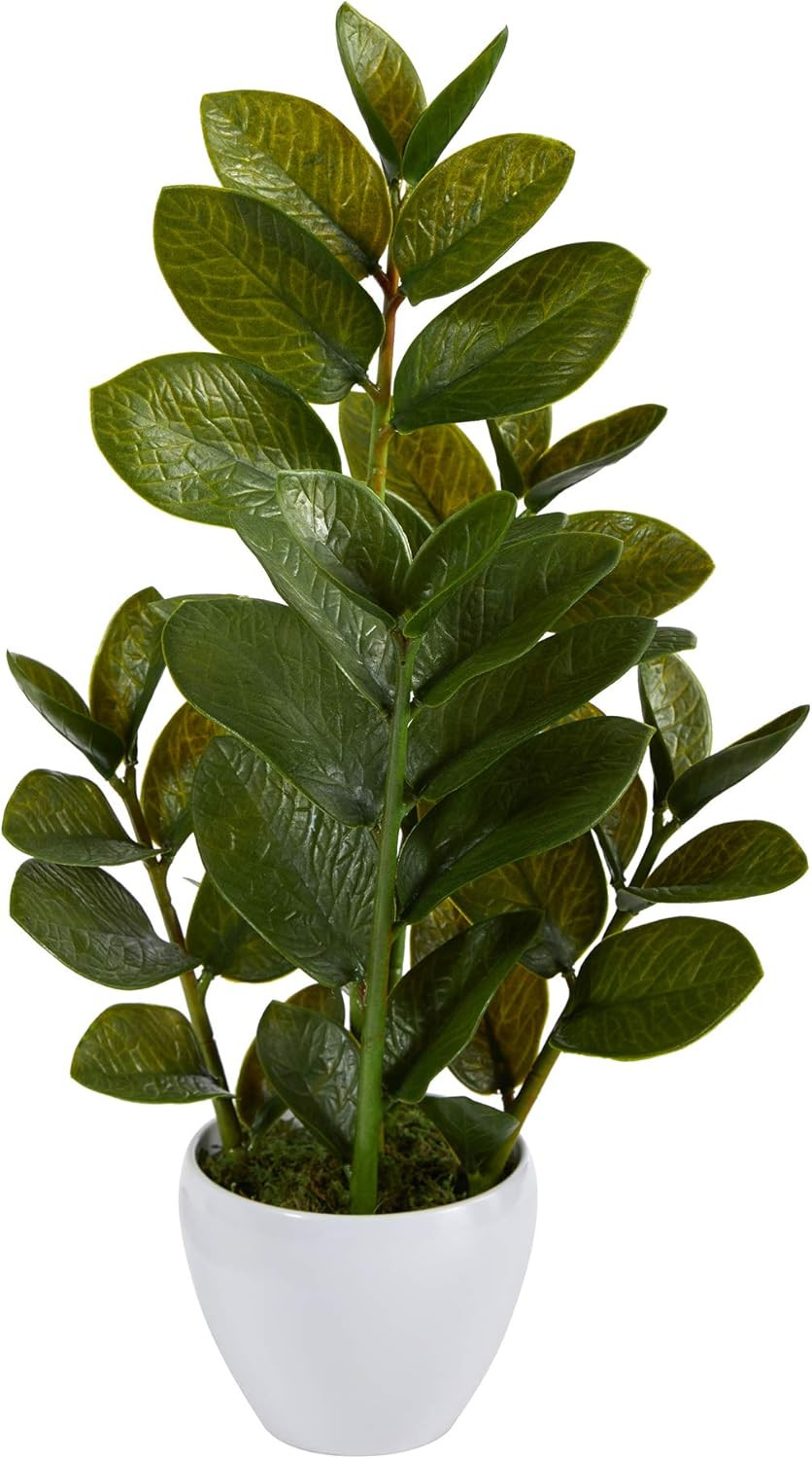 22In. Zamioculcas Artificial Plant in White Planter