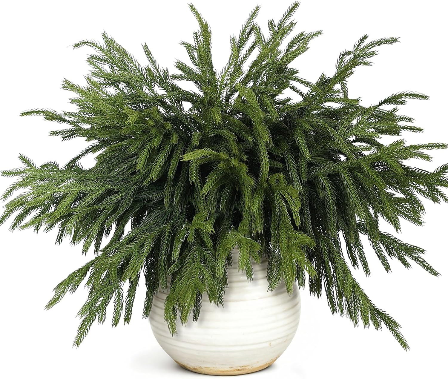 80 Pcs 18″ Realistic Norfolk Pine Branches for Holiday Decor & Crafts