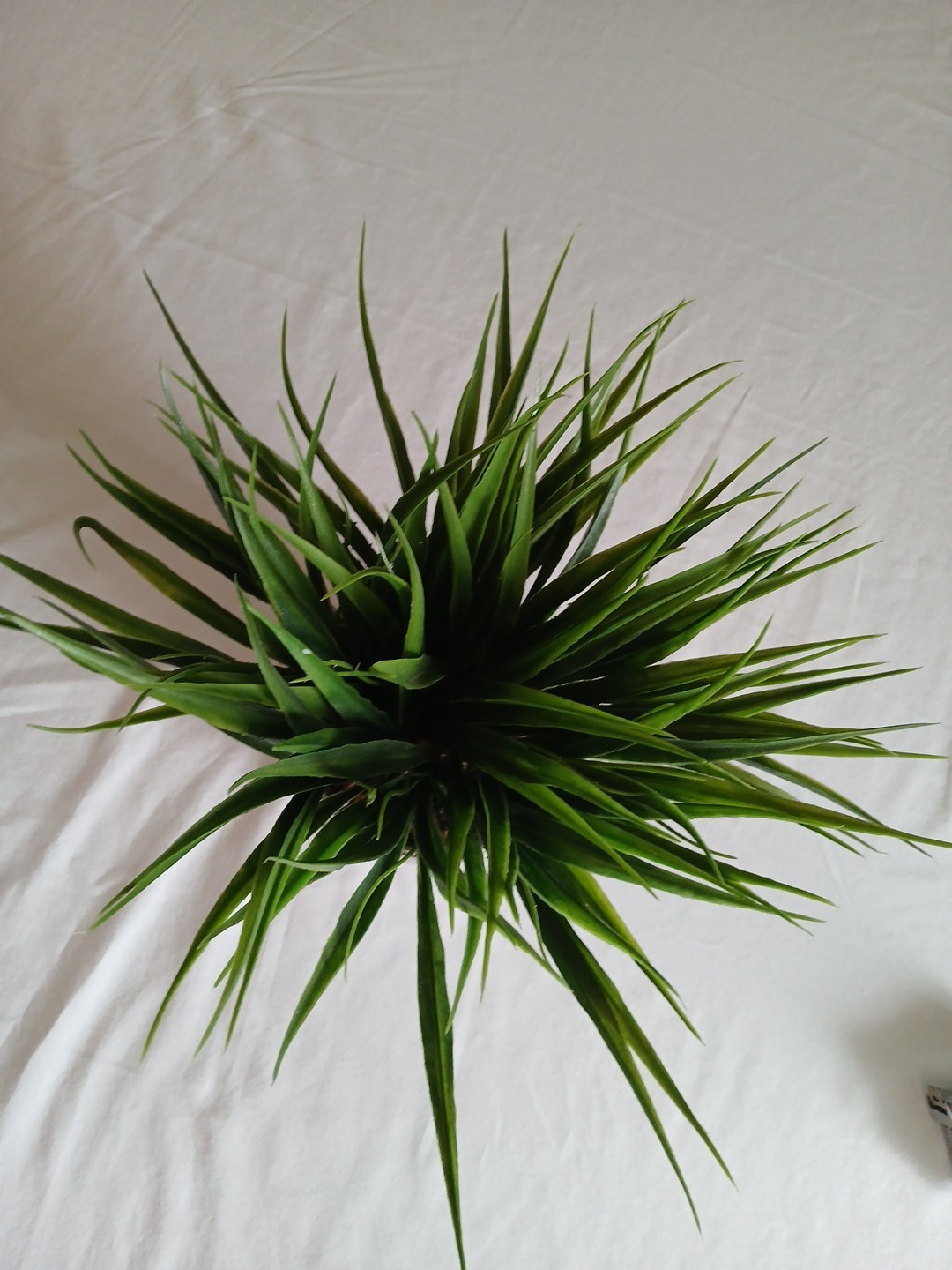 10 Inch Faux Grass Leaf Plant With Chrome Finished Planter