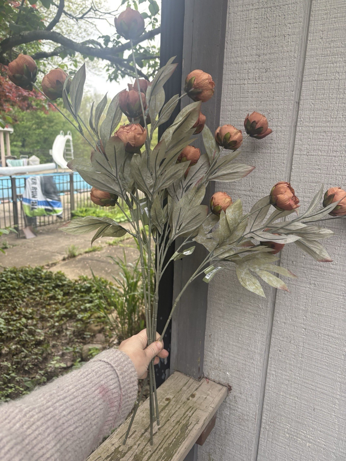 Ashland Michaels Tan Dried Peony Stems Set of 4 Decor TikTok Viral Flowers New