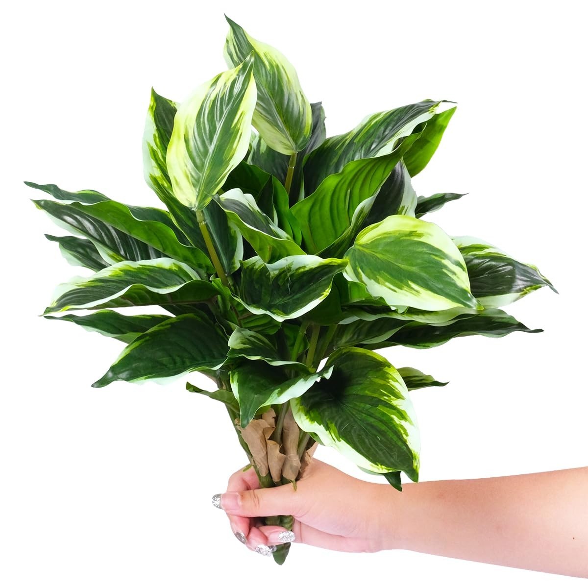 3PCS UV Resistant Artificial Tropical Green Plants – 15.75″ Faux Hostas for Indo