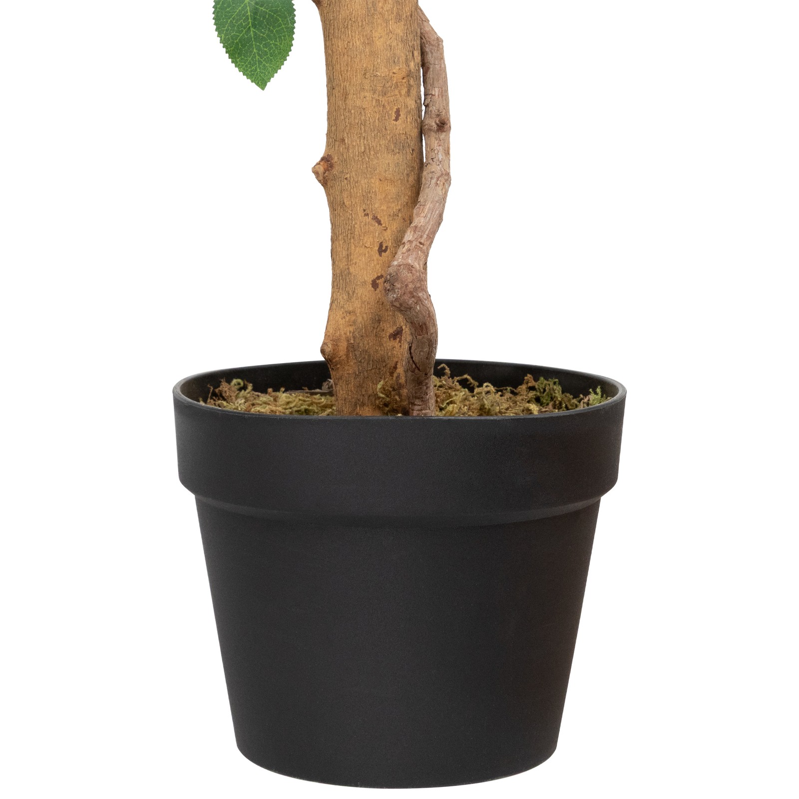 Northlight 49.5″ Green and White Potted Floral Artificial Rose Garden Tree