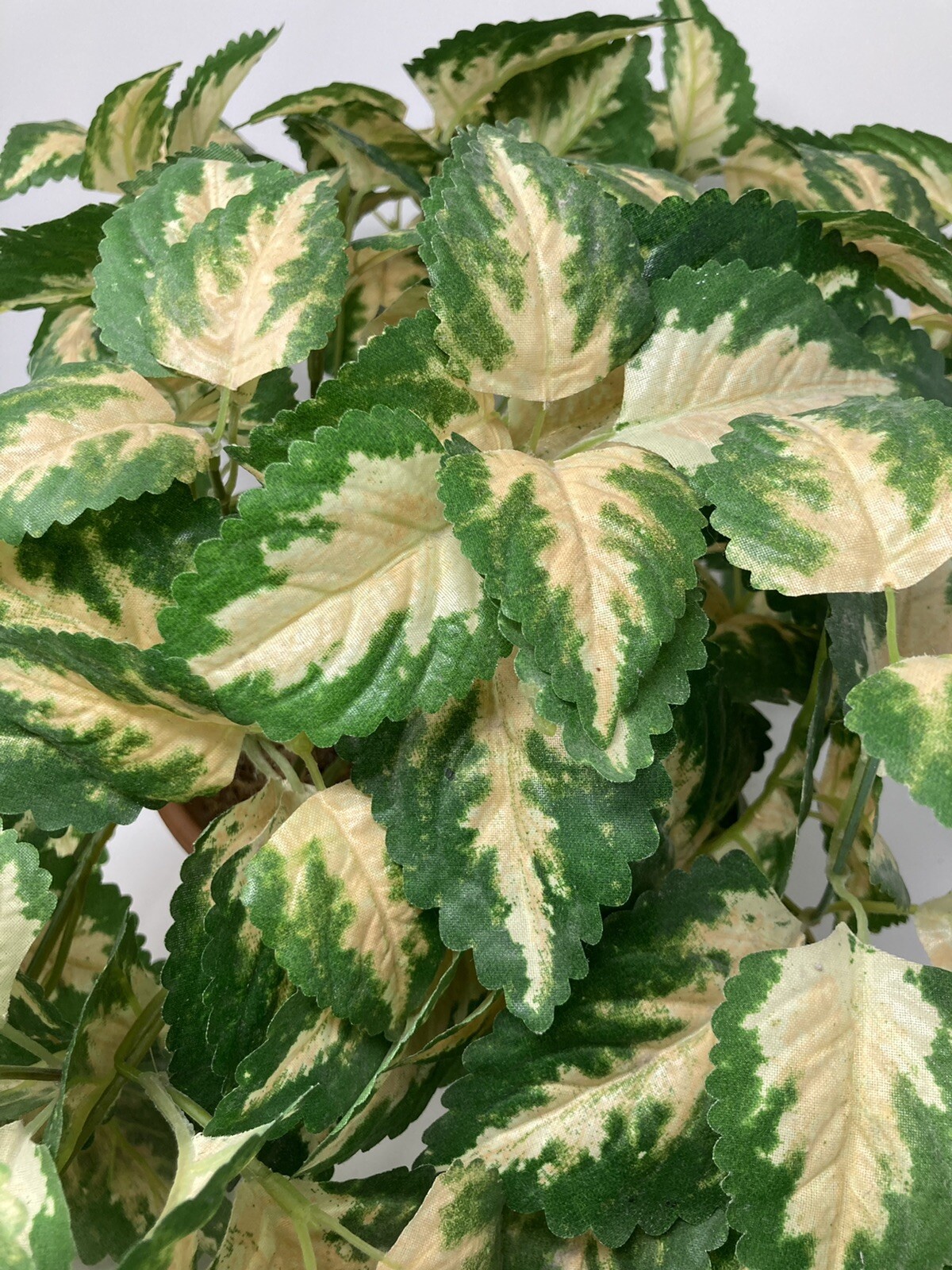 Hanging Silk Plant Natural Looking Coleus (?) Moss Terracotta Pot Tropical 36″