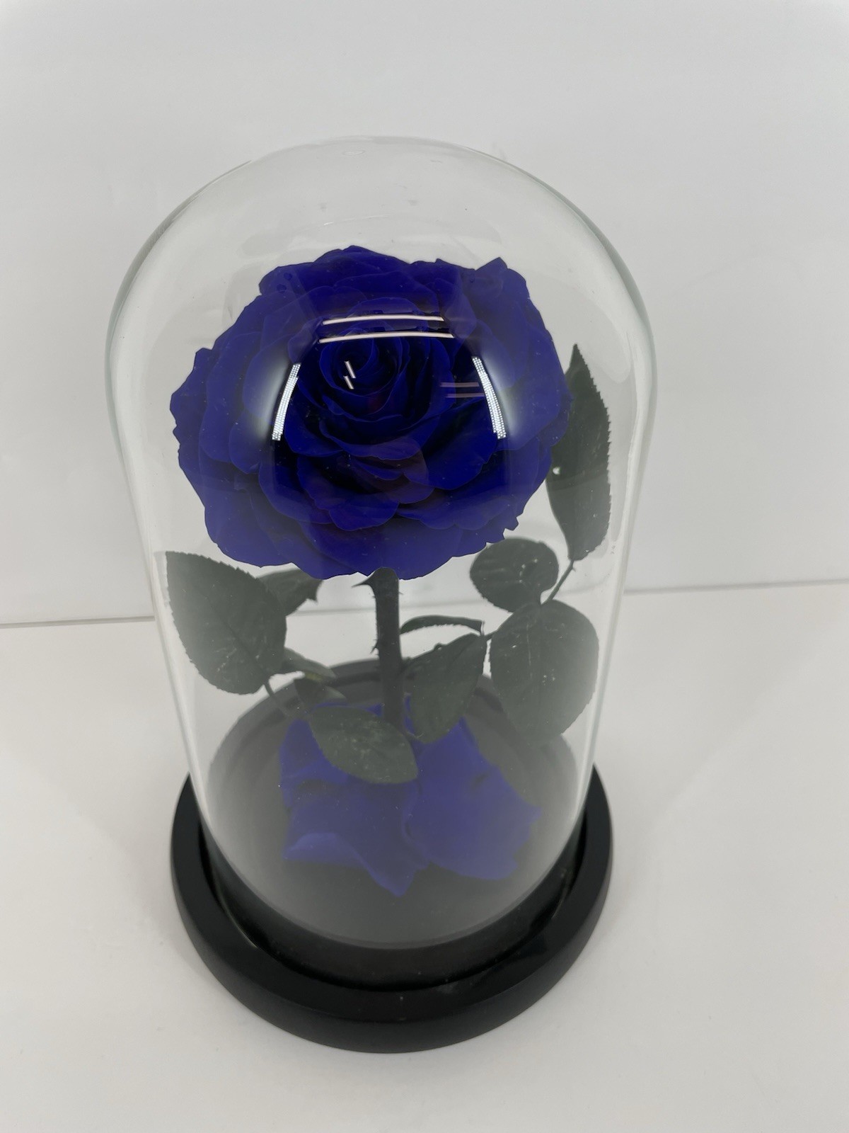 Preserved Rose in Glass Dome Eternal Enchanted Forever Purplish Blue