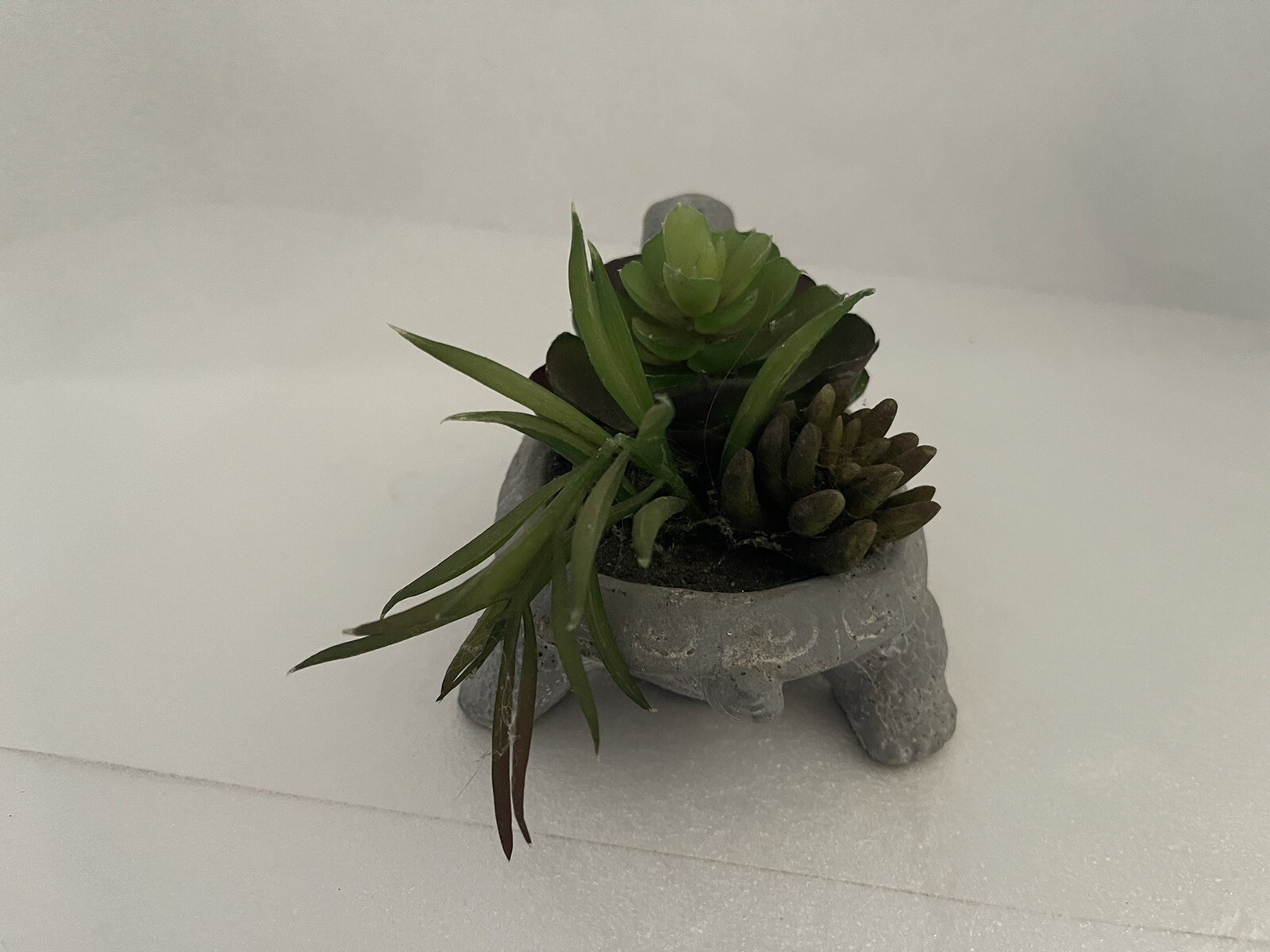 Carved Stone Turtle Potted With Faux Succulent Plants Garden Home Decor Swirls